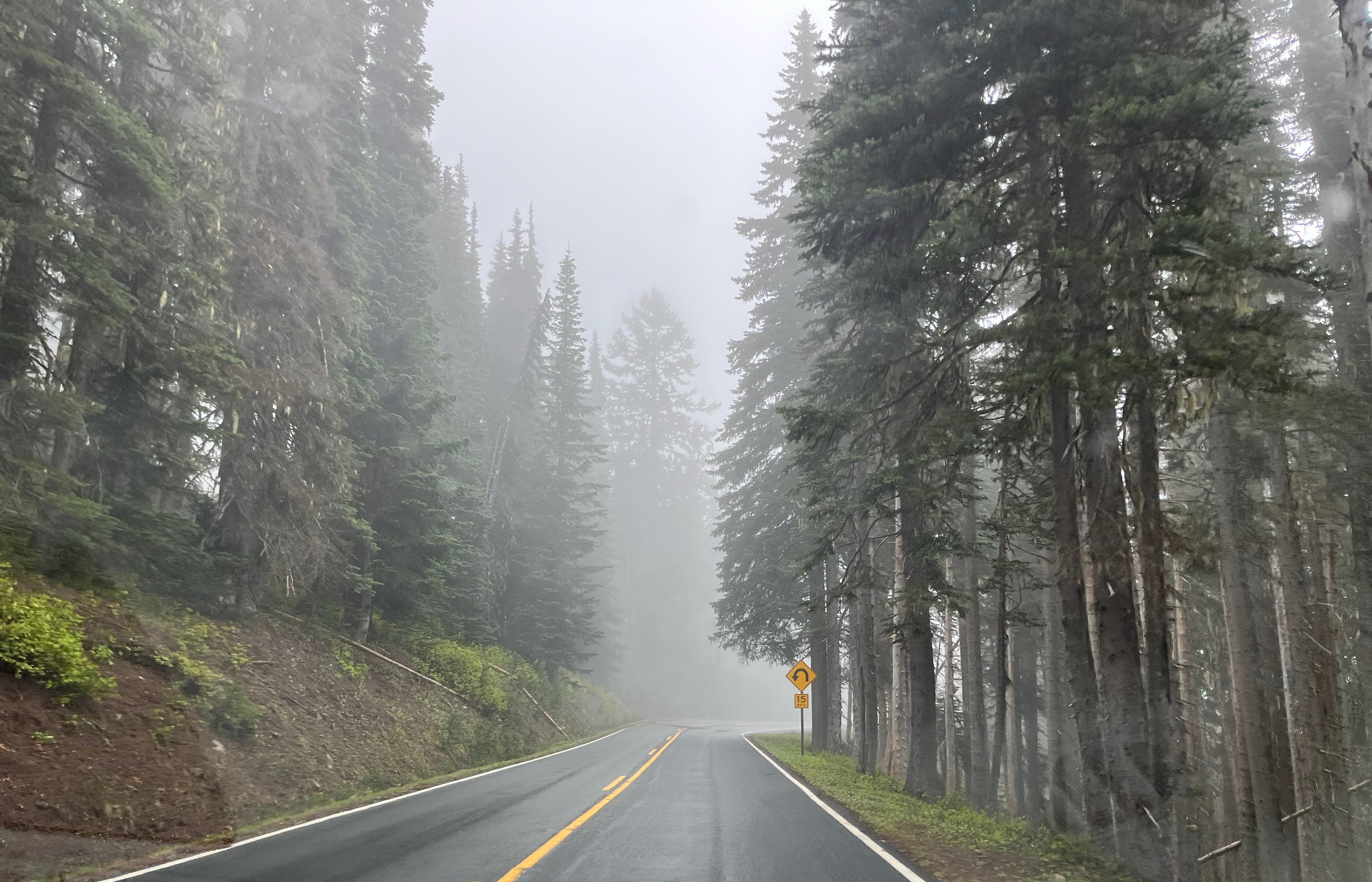 Mt. Rainier National Park