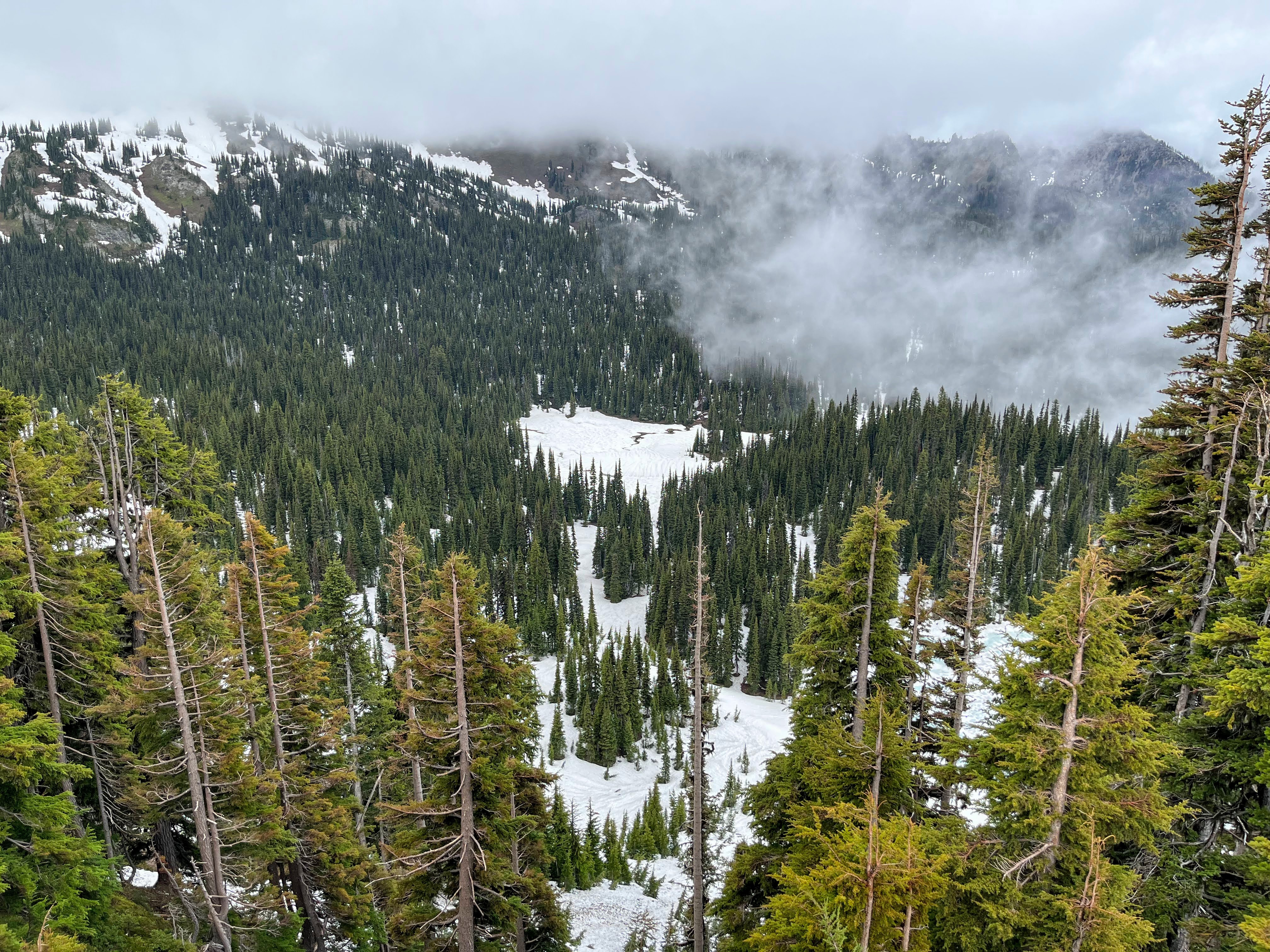 Mt. Rainier National Park