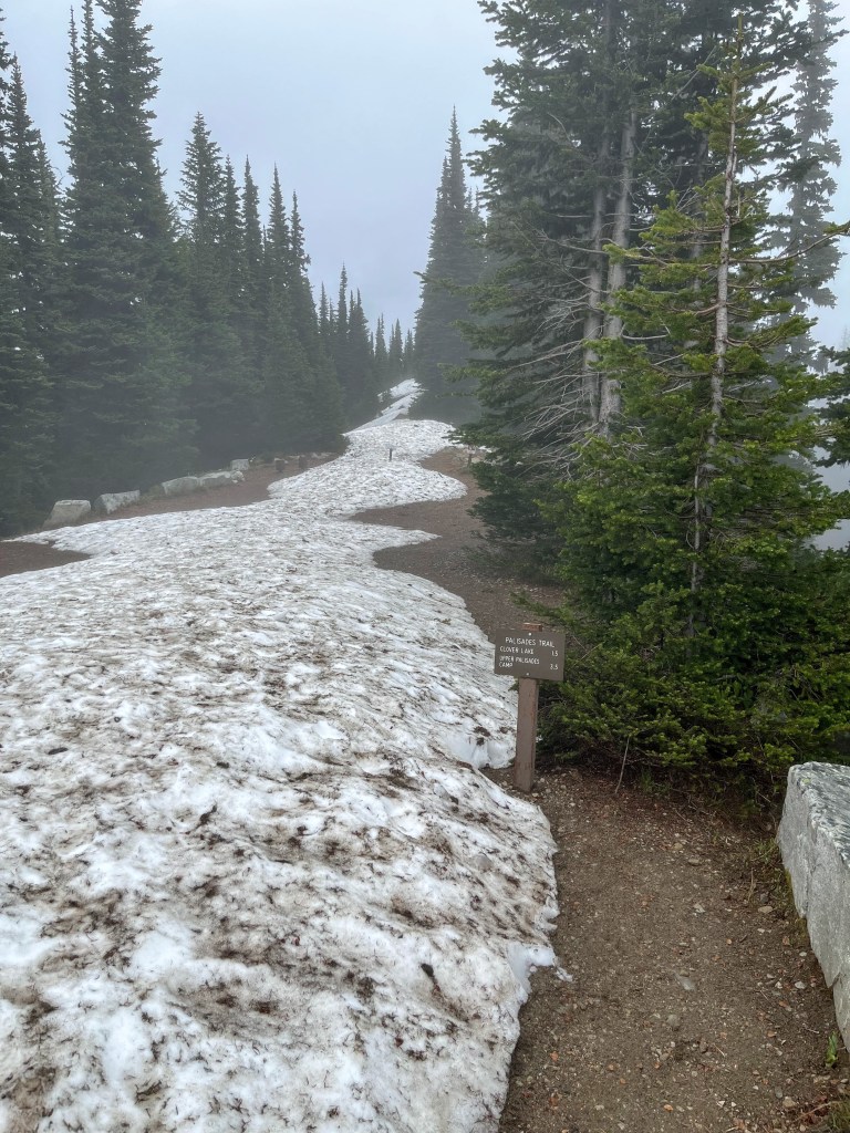 Mt. Rainier National Park