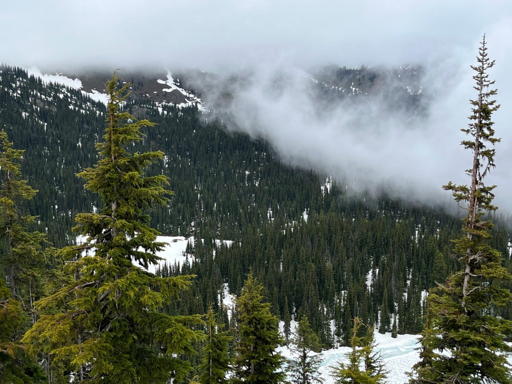 Mt. Rainier National Park