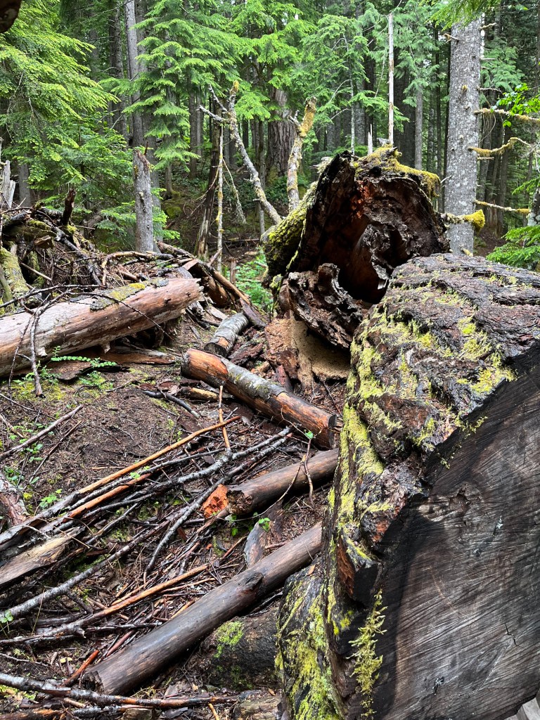 Trail of the Shadows