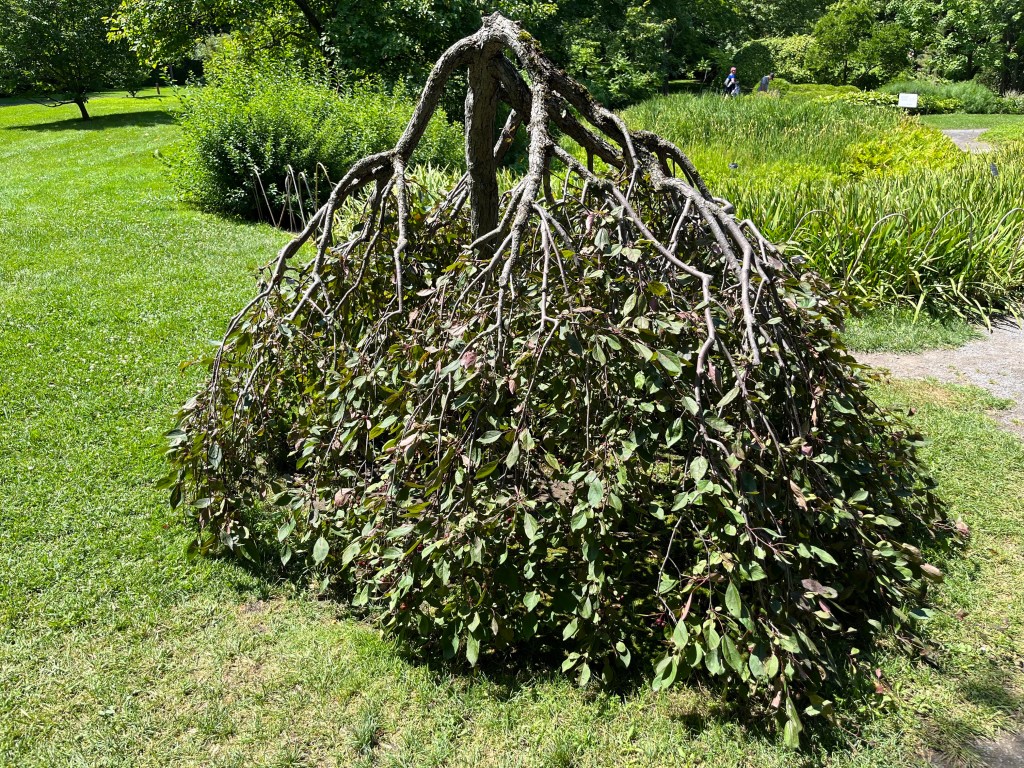 Montreal Botanical Garden