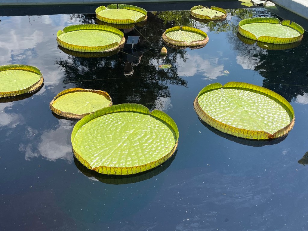 Montreal Botanical Garden