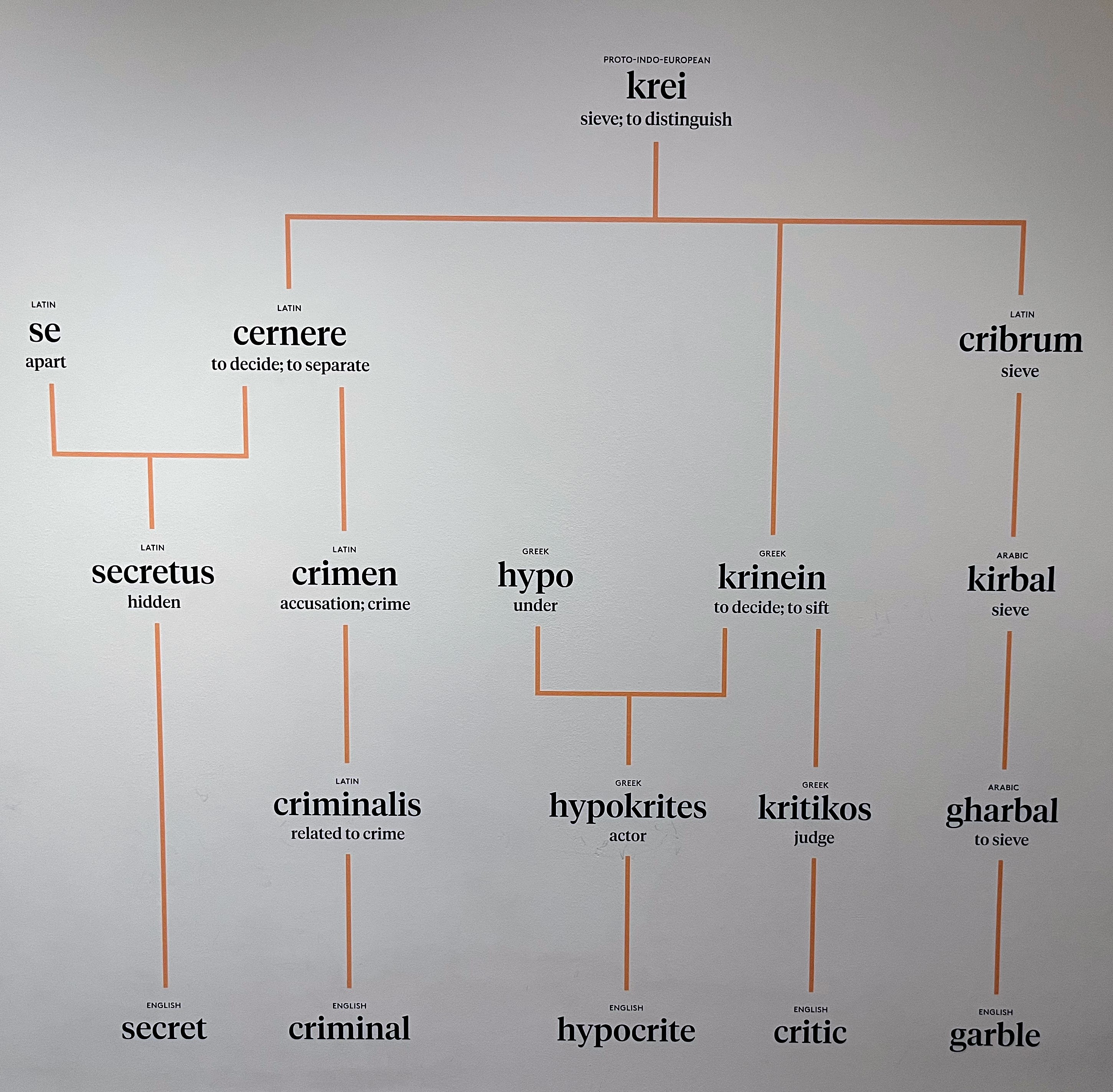 Word chart at Planet Word.