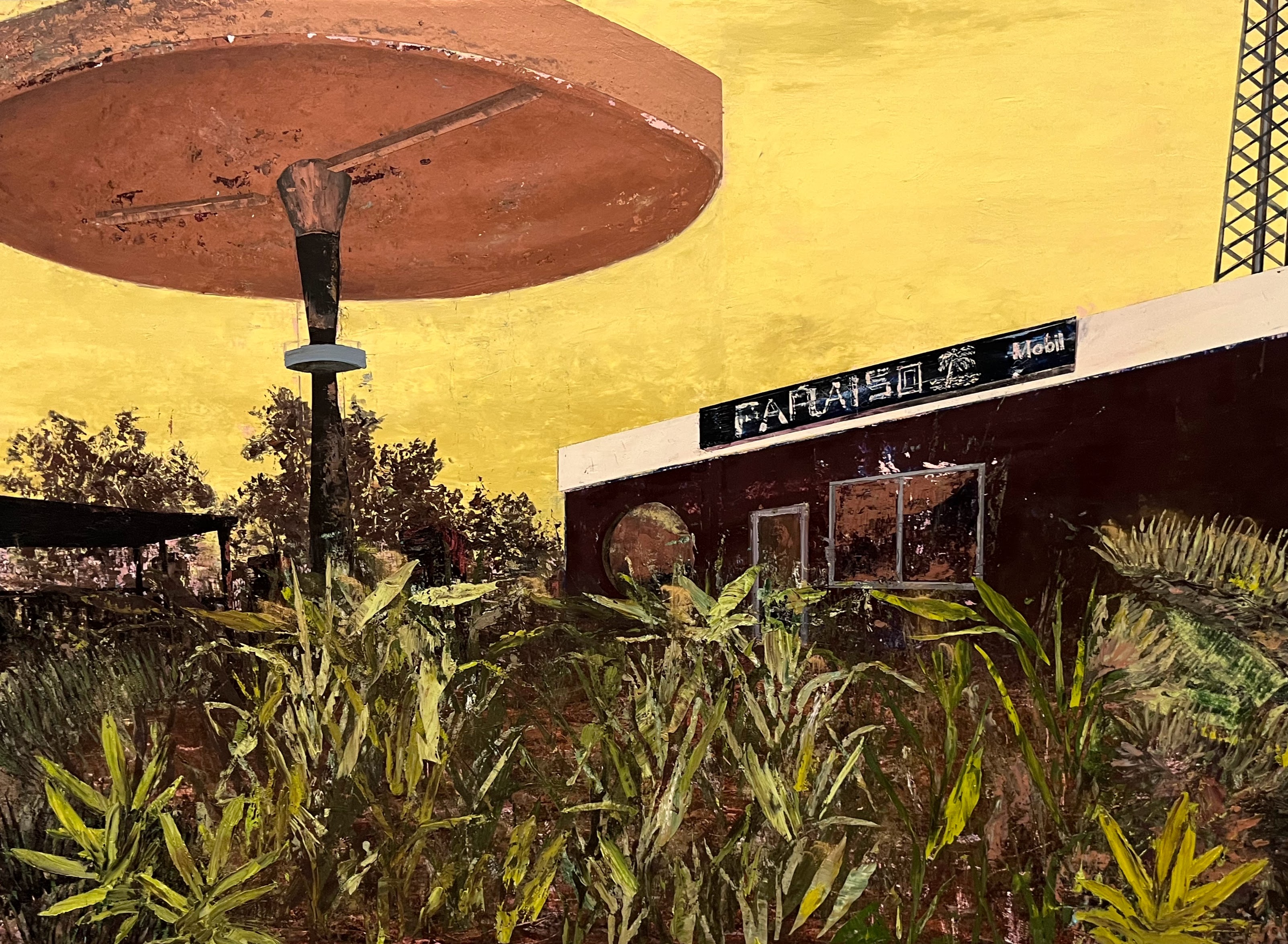 Paraiso movil, Rogelio Baez Vega