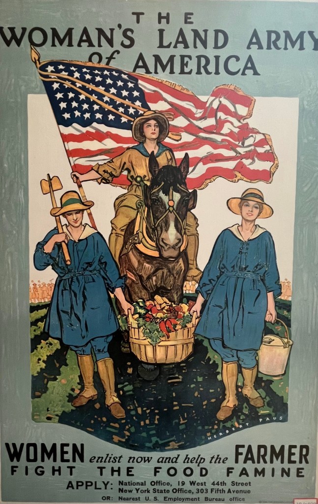 The Woman's Land Army of New York, Herbert Andrew Paus