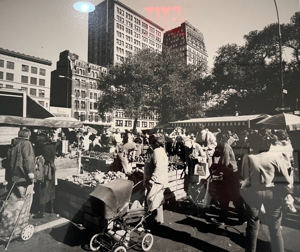 Union Square Greenmarket, Edmund Vincent Gillon