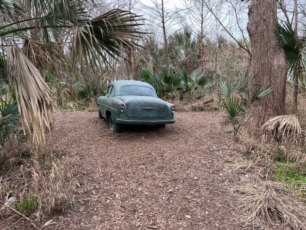 Road Angel, Terry Allen