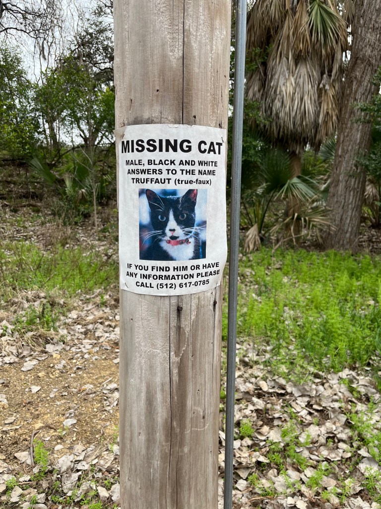 Missing Trufout, Teresa Hubbard/Alexander Birchler