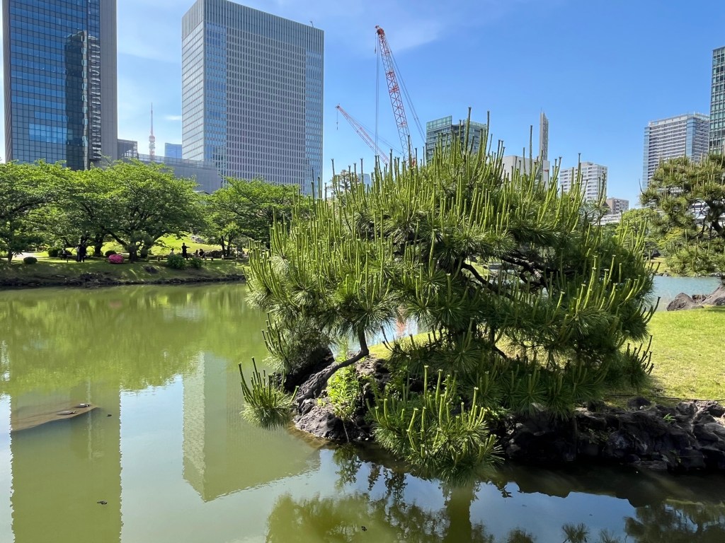 Kyu-Shiba-rikyu Gardens