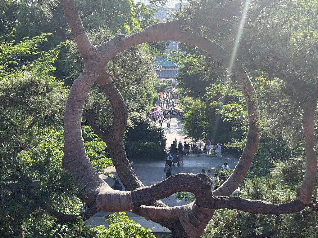 Ueno Park