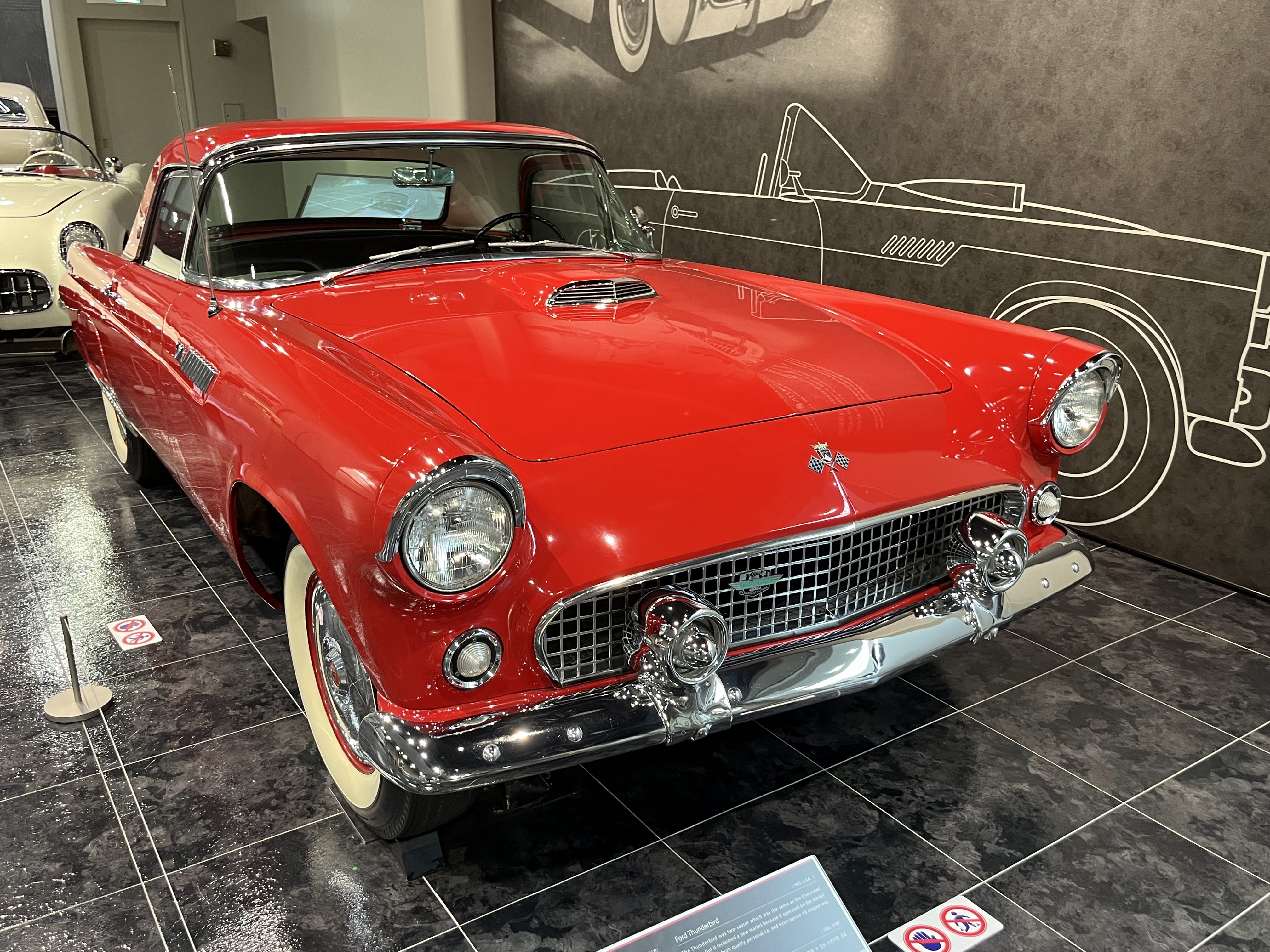 1955 Ford Thunderbird