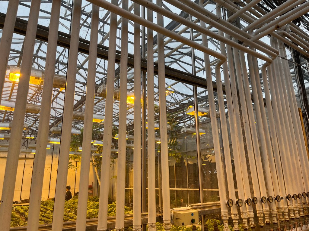 Fridheimar Greenhouse